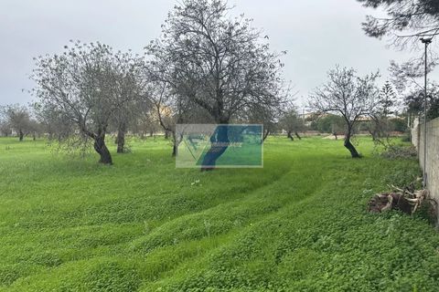 Villa i Noto, Siracusa, Noto - € 330.000 | Ref: NT VMAR 17 - foto 26