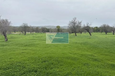 Villa i Noto, Siracusa, Noto - € 330.000 | Ref: NT VMAR 17 - foto 27