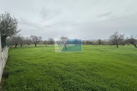 Villa i Noto, Siracusa, Noto - € 330.000 | Ref: NT VMAR 17 - foto 28