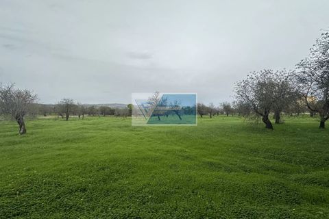 Villa i Noto, Siracusa, Noto - € 330.000 | Ref: NT VMAR 17 - foto 29