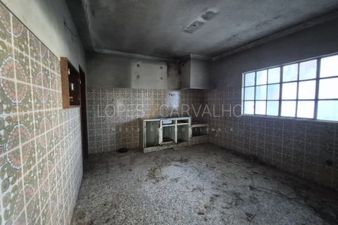 Terra a Quinta do Anjo, Setubal, Quinta do Anjo - € 175.000 | Ref: APA_1150 - foto 9