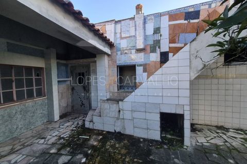 Terra a Quinta do Anjo, Setubal, Quinta do Anjo - € 175.000 | Ref: APA_1150 - foto 14