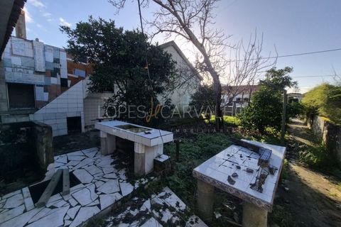 Terra a Quinta do Anjo, Setubal, Quinta do Anjo - € 175.000 | Ref: APA_1150 - foto 5
