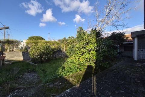 Terra a Quinta do Anjo, Setubal, Quinta do Anjo - € 175.000 | Ref: APA_1150 - foto 6