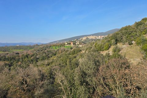 Villa a Montecchio, Terni, Montecchio - € 550.000 | Ref: MON41 - foto 30