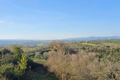 Villa a Montecchio, Terni, Montecchio - € 550.000 | Ref: MON41 - foto 38