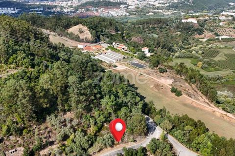 Helårsgrund i Coimbra, Coimbra, Coimbra - € 35.000 | Ref: ZMPT535528 - foto 4