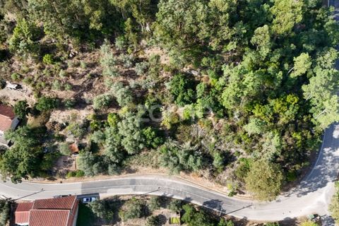 Helårsgrund i Coimbra, Coimbra, Coimbra - € 35.000 | Ref: ZMPT535528 - foto 10