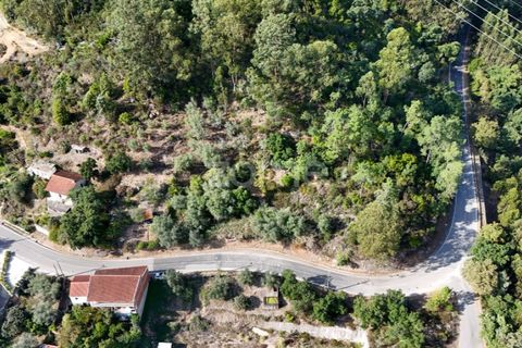 Helårsgrund i Coimbra, Coimbra, Coimbra - € 35.000 | Ref: ZMPT535528 - foto 12