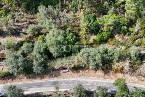 Helårsgrund i Coimbra, Coimbra, Coimbra - € 35.000 | Ref: ZMPT535528 - foto 13