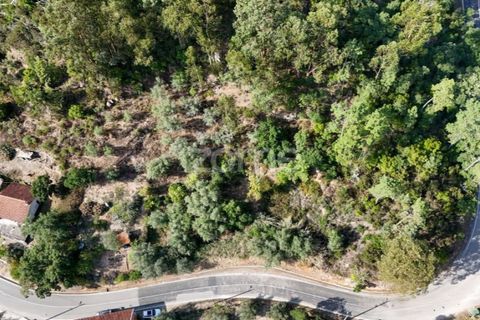 Helårsgrund i Coimbra, Coimbra, Coimbra - € 35.000 | Ref: ZMPT535528 - foto 14