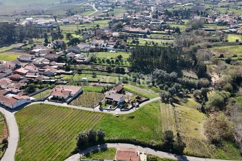 Helårsgrund i Anadia, Aveiro, Anadia - € 33.000 | Ref: ZMPT586212 - foto 2