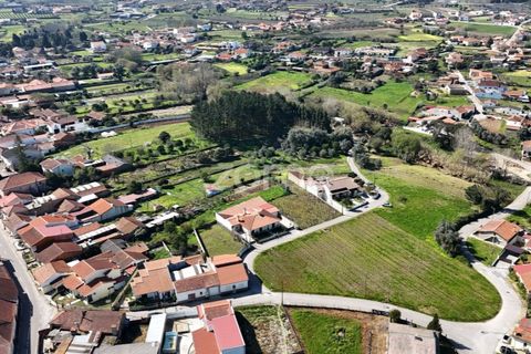 Helårsgrund i Anadia, Aveiro, Anadia - € 33.000 | Ref: ZMPT586212 - foto 3