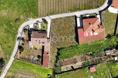 Helårsgrund i Anadia, Aveiro, Anadia - € 33.000 | Ref: ZMPT586212 - foto 4