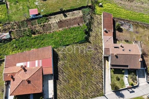 Helårsgrund i Anadia, Aveiro, Anadia - € 33.000 | Ref: ZMPT586212 - foto 5