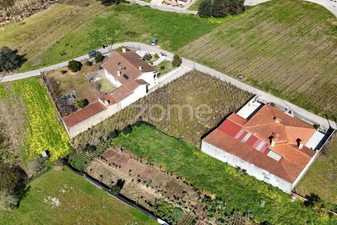 Helårsgrund i Anadia, Aveiro, Anadia - € 33.000 | Ref: ZMPT586212 - foto 6