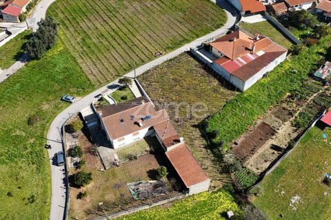 Helårsgrund i Anadia, Aveiro, Anadia - € 33.000 | Ref: ZMPT586212 - foto 7