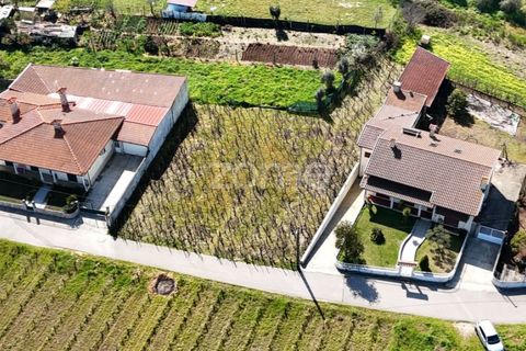 Helårsgrund i Anadia, Aveiro, Anadia - € 33.000 | Ref: ZMPT586212 - foto 8