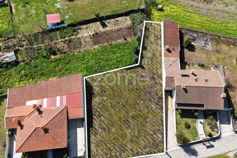 Helårsgrund i Anadia, Aveiro, Anadia - € 33.000 | Ref: ZMPT586212 - foto 9