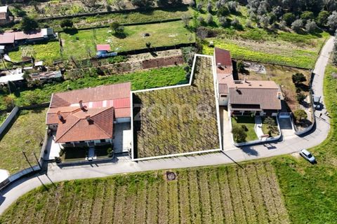 Helårsgrund i Anadia, Aveiro, Anadia - € 33.000 | Ref: ZMPT586212 - foto 10