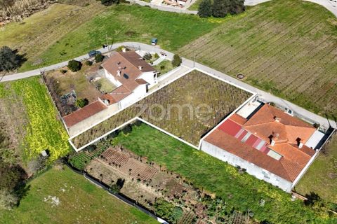 Helårsgrund i Anadia, Aveiro, Anadia - € 33.000 | Ref: ZMPT586212 - foto 11