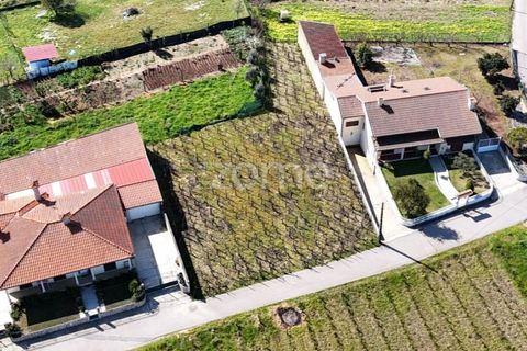 Helårsgrund i Anadia, Aveiro, Anadia - € 33.000 | Ref: ZMPT586212 - foto 15