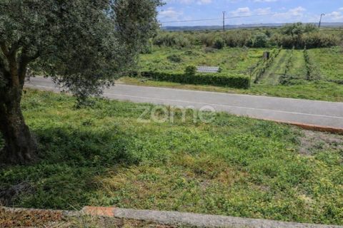 Terra a Vila Verde, Coimbra, Vila Verde - € 47.000 | Ref: ZMPT586312 - foto 7
