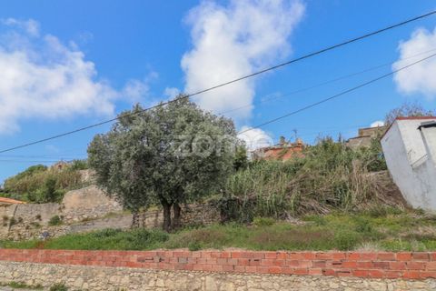 Terra a Vila Verde, Coimbra, Vila Verde - € 47.000 | Ref: ZMPT586312 - foto 9