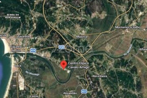 Terra a Vila Verde, Coimbra, Vila Verde - € 47.000 | Ref: ZMPT586312 - foto 10