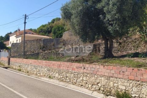 Terra a Vila Verde, Coimbra, Vila Verde - € 47.000 | Ref: ZMPT586312 - foto 12