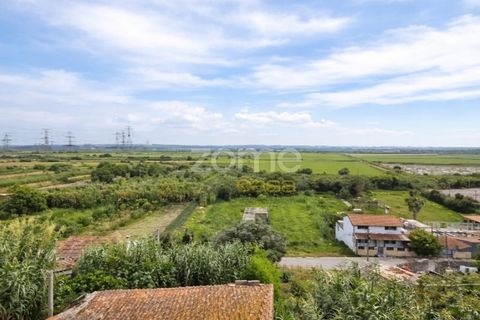 Terra a Vila Verde, Coimbra, Vila Verde - € 47.000 | Ref: ZMPT586312 - foto 14