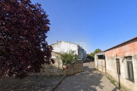Helårsgrund i Murtede, Coimbra, Murtede - € 84.500 | Ref: ZMPT585979 - foto 5