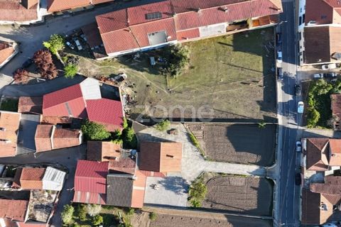 Helårsgrund i Murtede, Coimbra, Murtede - € 84.500 | Ref: ZMPT585979 - foto 13