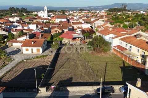 Helårsgrund i Murtede, Coimbra, Murtede - € 84.500 | Ref: ZMPT585979 - foto 14