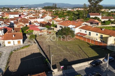 Helårsgrund i Murtede, Coimbra, Murtede - € 84.500 | Ref: ZMPT585979 - foto 15