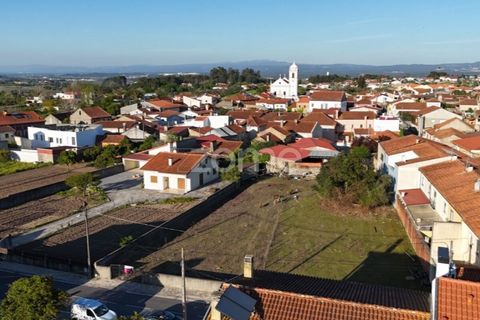 Helårsgrund i Murtede, Coimbra, Murtede - € 84.500 | Ref: ZMPT585979 - foto 16