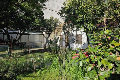 Villa i Castelo Branco, Castelo Branco, Castelo Branco - € 242.500 | Ref: UNU.I.1981.12555 - foto 40