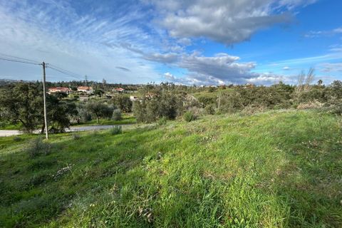 Helårsgrund i Tomar, Santarem, Tomar - € 52.500 | Ref: A082026 - foto 3