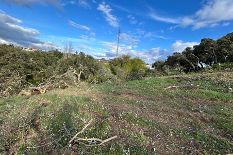 Helårsgrund i Tomar, Santarem, Tomar - € 52.500 | Ref: A082026 - foto 5