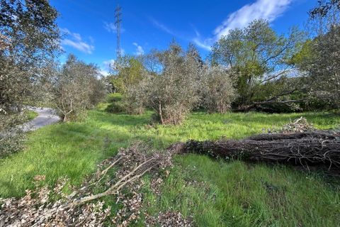 Helårsgrund i Tomar, Santarem, Tomar - € 27.500 | Ref: A092026 - foto 2