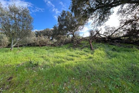 Helårsgrund i Tomar, Santarem, Tomar - € 27.500 | Ref: A092026 - foto 4