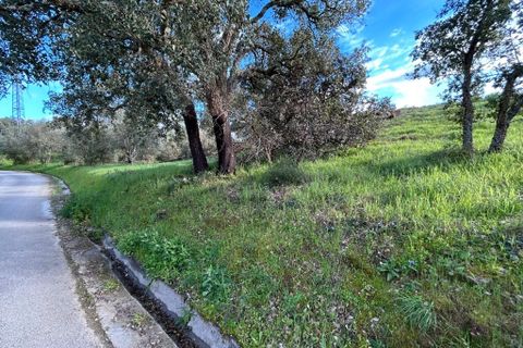 Helårsgrund i Tomar, Santarem, Tomar - € 27.500 | Ref: A092026 - foto 5