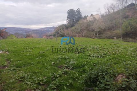 Helårsgrund i Cinfaes, Viseu, Cinfaes - € 25.000 | Ref: PROMAG#273 - foto 1