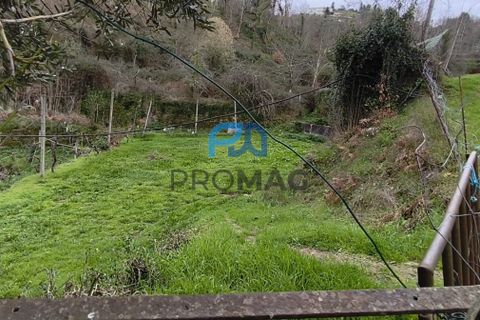 Helårsgrund i Cinfaes, Viseu, Cinfaes - € 25.000 | Ref: PROMAG#273 - foto 2