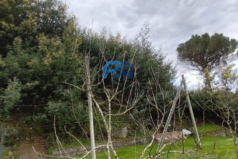 Helårsgrund i Cinfaes, Viseu, Cinfaes - € 25.000 | Ref: PROMAG#273 - foto 3
