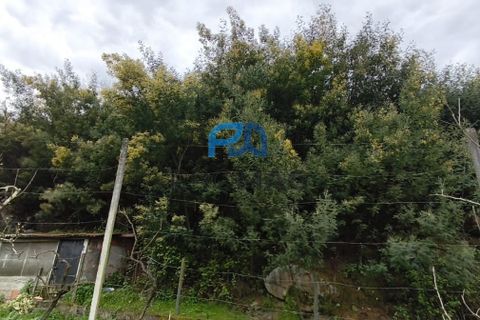 Helårsgrund i Cinfaes, Viseu, Cinfaes - € 25.000 | Ref: PROMAG#273 - foto 4