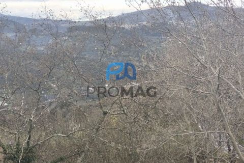 Helårsgrund i Cinfaes, Viseu, Cinfaes - € 25.000 | Ref: PROMAG#273 - foto 6