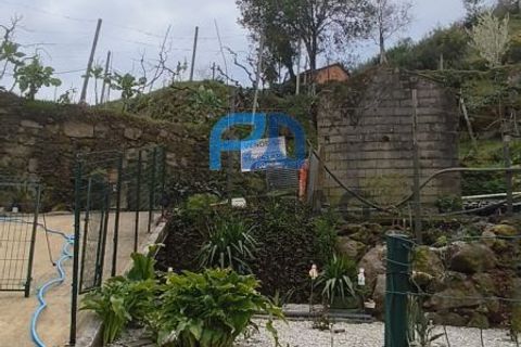 Helårsgrund i Cinfaes, Viseu, Cinfaes - € 25.000 | Ref: PROMAG#273 - foto 7