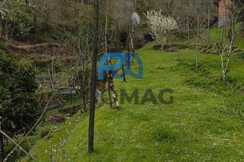 Helårsgrund i Cinfaes, Viseu, Cinfaes - € 25.000 | Ref: PROMAG#273 - foto 8