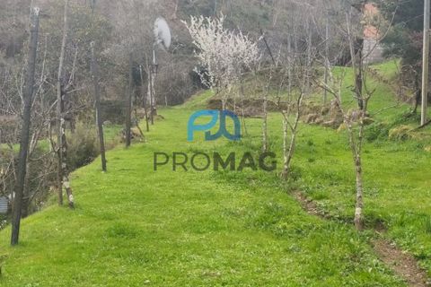 Helårsgrund i Cinfaes, Viseu, Cinfaes - € 25.000 | Ref: PROMAG#273 - foto 10